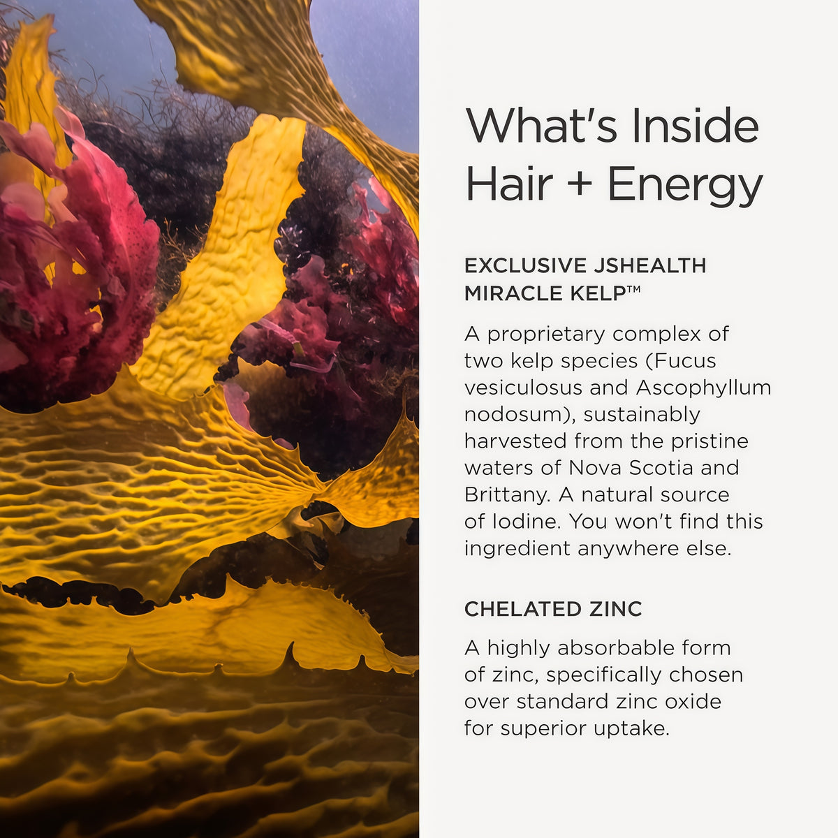 JSHealth Hair Growth Vitamins for Women. Hair + Energy with Kelp Iodine and Zinc. Supports Thickness, Strength, Energy. Nutritionist-Formulated (60 Capsules)